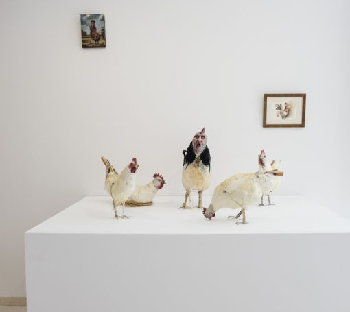 Santa Marta sept 22 27