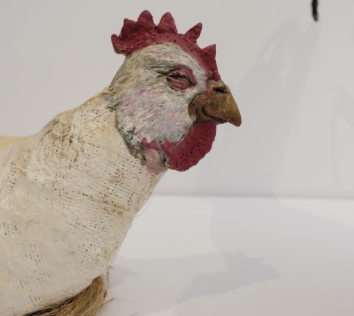 Santa Marta sept 22 36