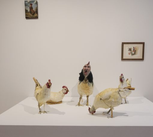 Santa Marta sept 22 9